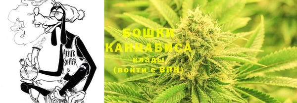 ГАЛЛЮЦИНОГЕННЫЕ ГРИБЫ Балабаново